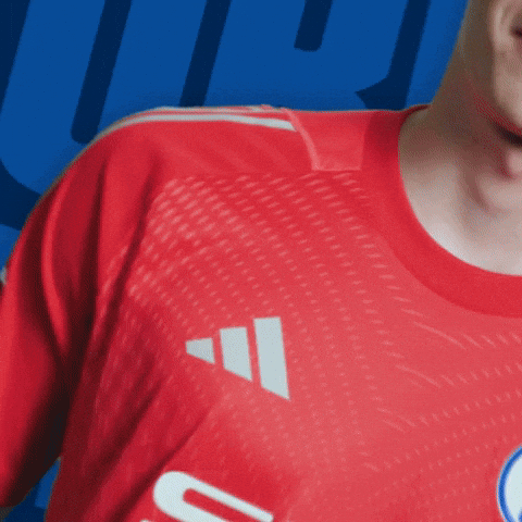 Football Soccer GIF by FC Schalke 04