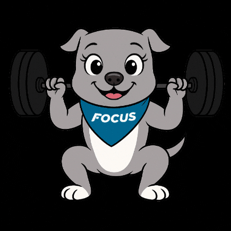 GIF by Focus Centros de Entrenamiento