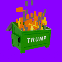 Donald Trump Fire GIF by Creative Courage