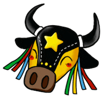 Saojoaoma Sticker by Governo do Maranhão