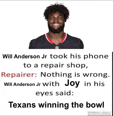Houston Texans GIF
