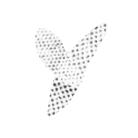 Typography Sticker