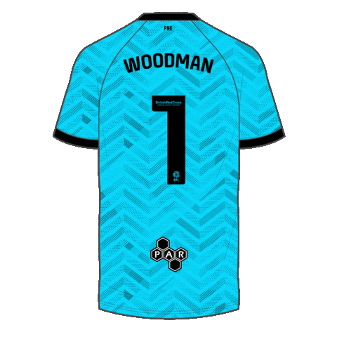 Woodman Pne Sticker by Preston North End