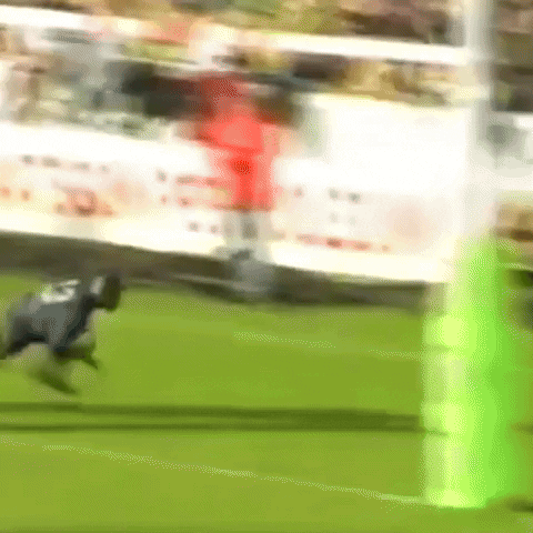 Celebrate Rugby League GIF by Leeds Rhinos