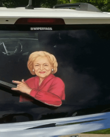 Bettywhite GIF by WiperTags Wiper Covers