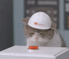cat button GIF