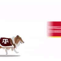 College Football Sec GIF by SportsManias