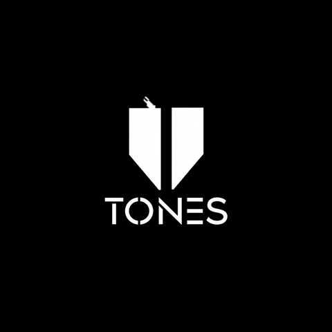 Tones Fashion GIF
