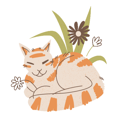 Momentcosy Sticker