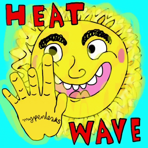 Illustrated gif. Sun with a smiley face and fuzzy eyebrows waves at us. His eyes move around his eyeballs like googly eyes. Text, “Heat wave.”