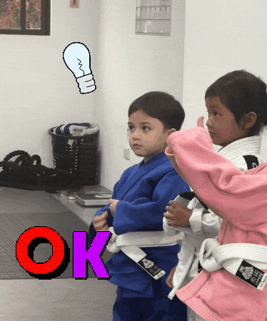 Leap Jiu Jitsu GIF