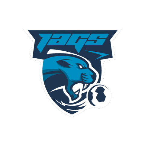 JAGS Vöslau Sticker