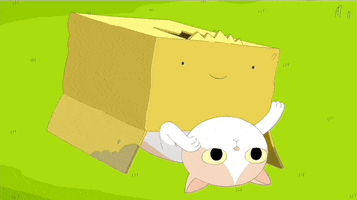 Cat GIF