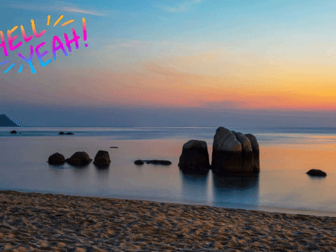 Html-code GIFs - Get the best GIF on GIPHY