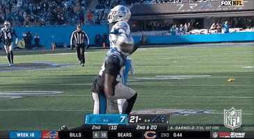 Carolina Panthers Football GIF by NFL