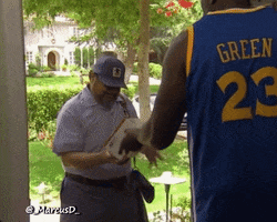 golden state warriors kick in the balls GIF