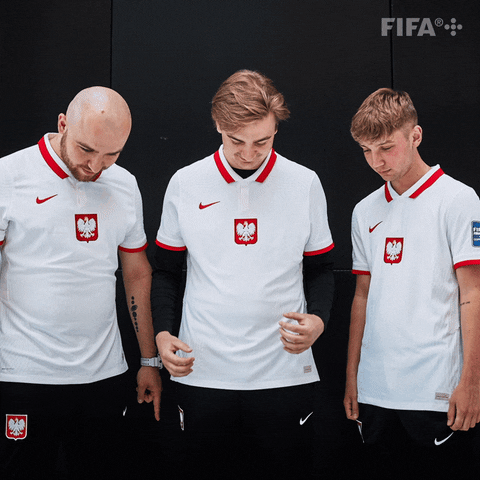 Poland Fenc GIF by FIFA