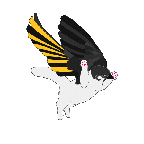 Cat Fantasy Sticker by Legacy Tattoo Removal