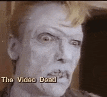 the video dead horror movies GIF by absurdnoise