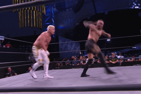 Pro Wrestling Sport GIF by ALL ELITE WRESTLING - Find & Share on GIPHY