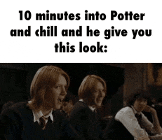 harry potter wizard GIF