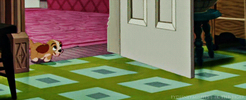 lady and the tramp film GIF
