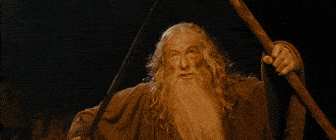 You Shall Not Pass Lord Of The Rings GIF