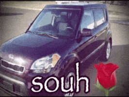 Fih Kia Soul GIF