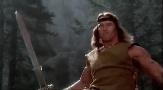 Image result for arnold Conan Gif