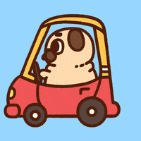 Dog Driving GIF by Puglie Pug