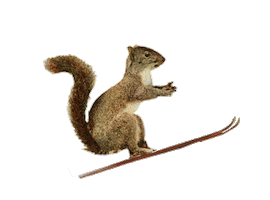 Sticker by Grandoozy