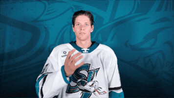 Hockey Ahl GIF by San Jose Barracuda