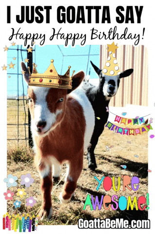 happy birthday cute goat