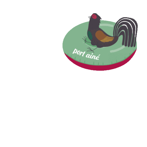 Port Ainé Sticker