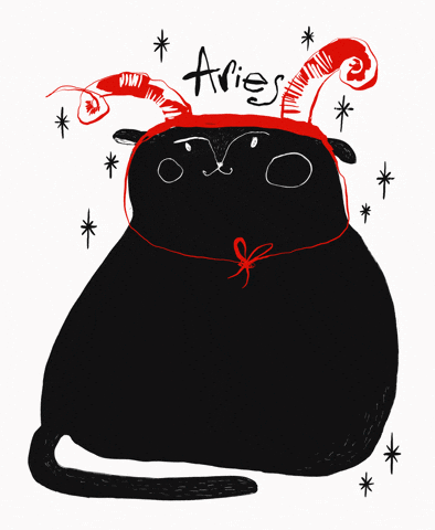 Cat Stars GIF