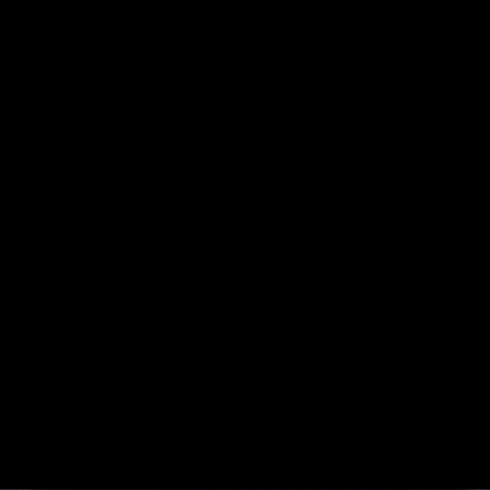 Crow GIF