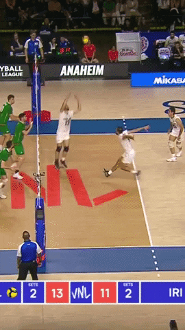 Party Celebration GIF by Volleyball World