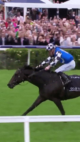 Winning Melbourne Cup GIF by World Horse Racing
