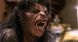 an american werewolf in london film GIF