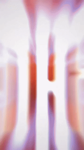 Winner GIF