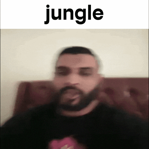 Jungle GIF