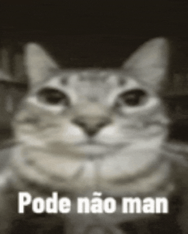 Meme45 GIF
