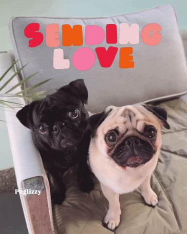 I Love You Valentine GIF