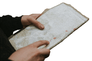 Las Kot Sticker by Bank Żywności