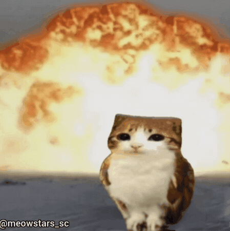 Cat Owl GIF