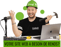 Delisoft Sticker