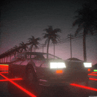 Palm Trees Loop GIF by kotutohum