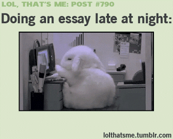 welcome to the rileys