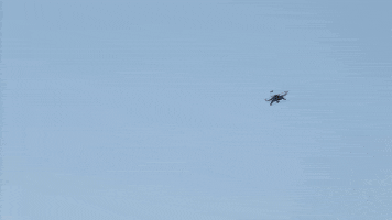 Autonomous GIF