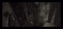 Lord Emperor GIF